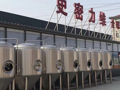 肥西精酿啤酒设备厂—如何判断精酿啤酒设备的密封件需要更换？